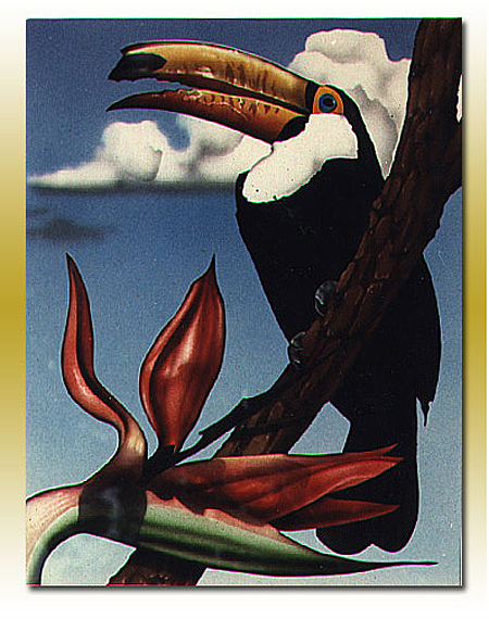 Toucan